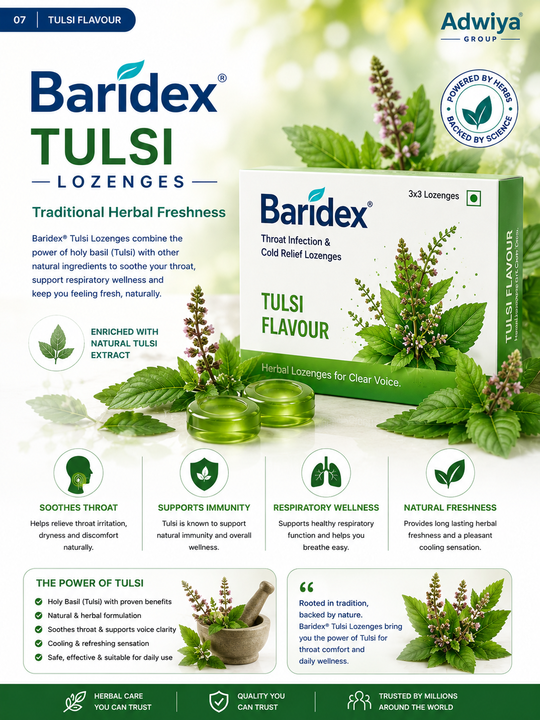 Baridex Tulsi lozenges brochure page